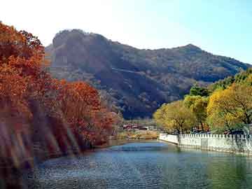 大三巴一肖二码最准，乳山网站建设